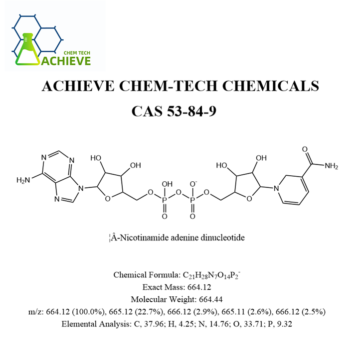 β-Nicotinamide Adenine Dinucleotide CAS 53-84-9