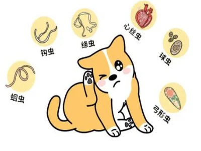 Fluralaner Cost | Shaanxi BLOOM Tech Co., Ltd Fluralaner Cost | Shaanxi BLOOM Tech Co., Ltd