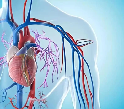 Bioglutide NA-931 Cardiovascular Risk | Shaanxi BLOOM Tech Co., Ltd Bioglutide NA-931 Cardiovascular Risk | Shaanxi BLOOM Tech Co., Ltd
