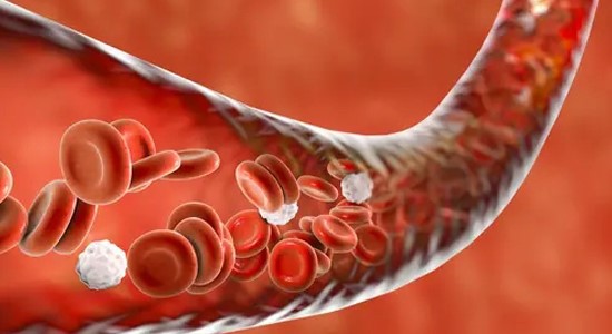 Atrial Natriuretic Peptide Rat | Shaanxi BLOOM Tech Co., Ltd Atrial Natriuretic Peptide Rat | Shaanxi BLOOM Tech Co., Ltd