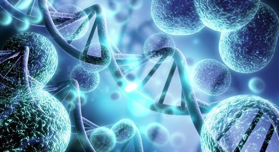 Atrial Natriuretic Peptide Rat | Shaanxi BLOOM Tech Co., Ltd Atrial Natriuretic Peptide Rat | Shaanxi BLOOM Tech Co., Ltd