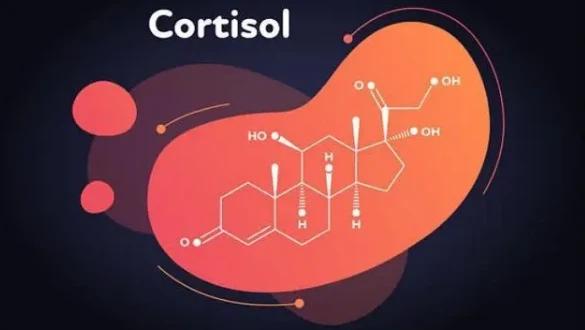 Octreotide acetate uses | Shaanxi BLOOM Tech Co., Ltd Octreotide acetate uses | Shaanxi BLOOM Tech Co., Ltd