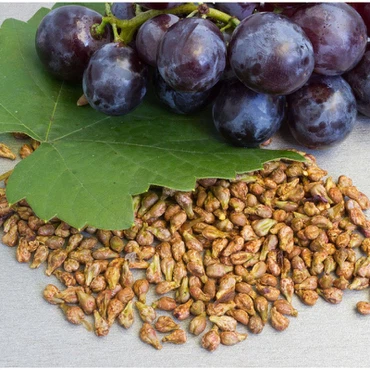 Procyanidin CAS 4852-22-6 Sources | Shaanxi BLOOM Tech Co., Ltd Procyanidin CAS 4852-22-6 Sources | Shaanxi BLOOM Tech Co., Ltd
